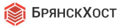 Логотип БрянскХост