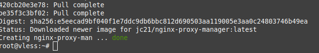 применение конфигурации Nginx Proxy