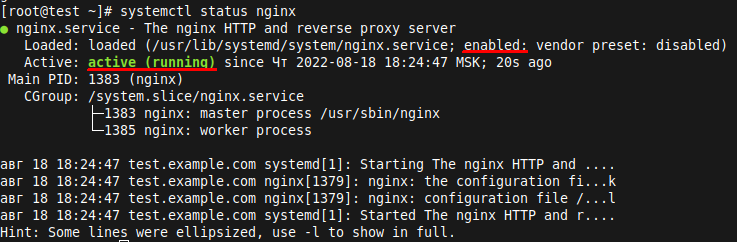  проверка работы службы nginx